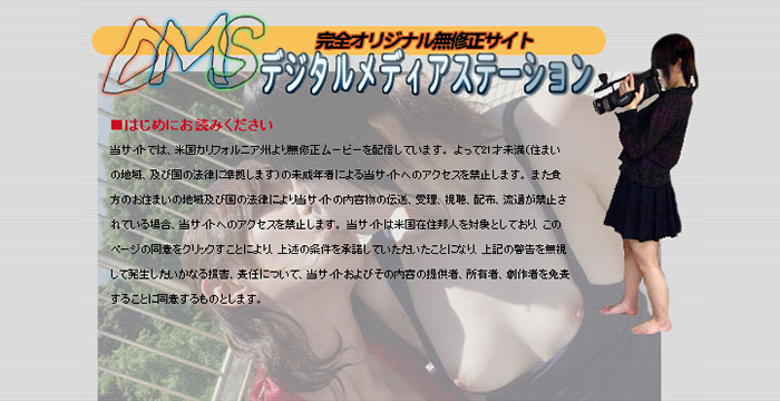 DMS(デジタルメディアステーション)